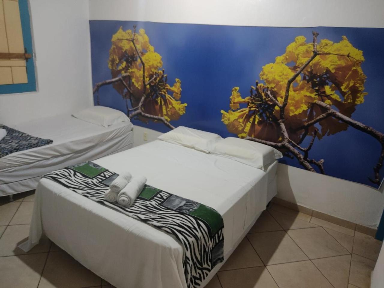 Pousada Colonial Pirenópolis Dış mekan fotoğraf
